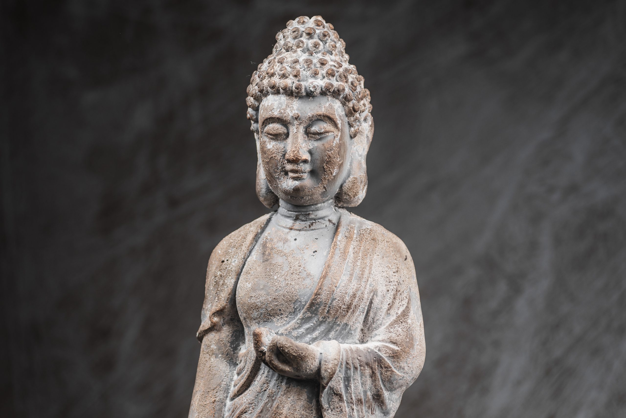 Διακοσμητικό Άγαλμα Standing Buddha - Antique Style - Image 2
